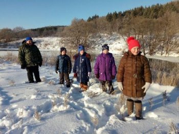 Экскурсия в зимний лес