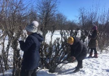 Экологический субботник