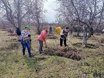 Трудовые десанты продолжаются